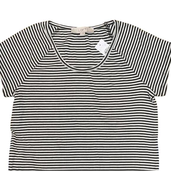 NWT LOFT Ribbed Caper & White Striped Raglan Scoop Neck Tee - Picture 3 of 10